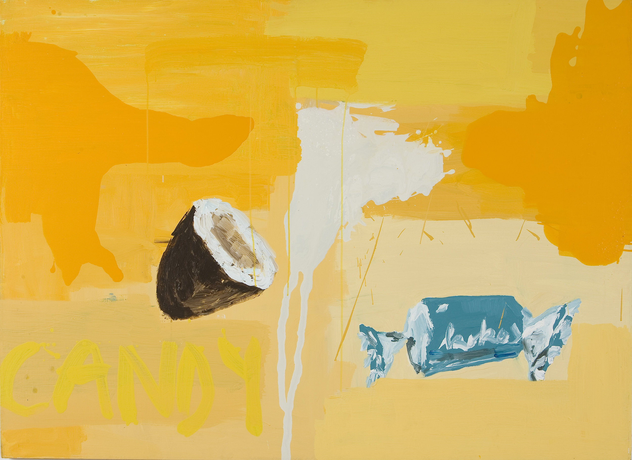 What I Fall in Love With