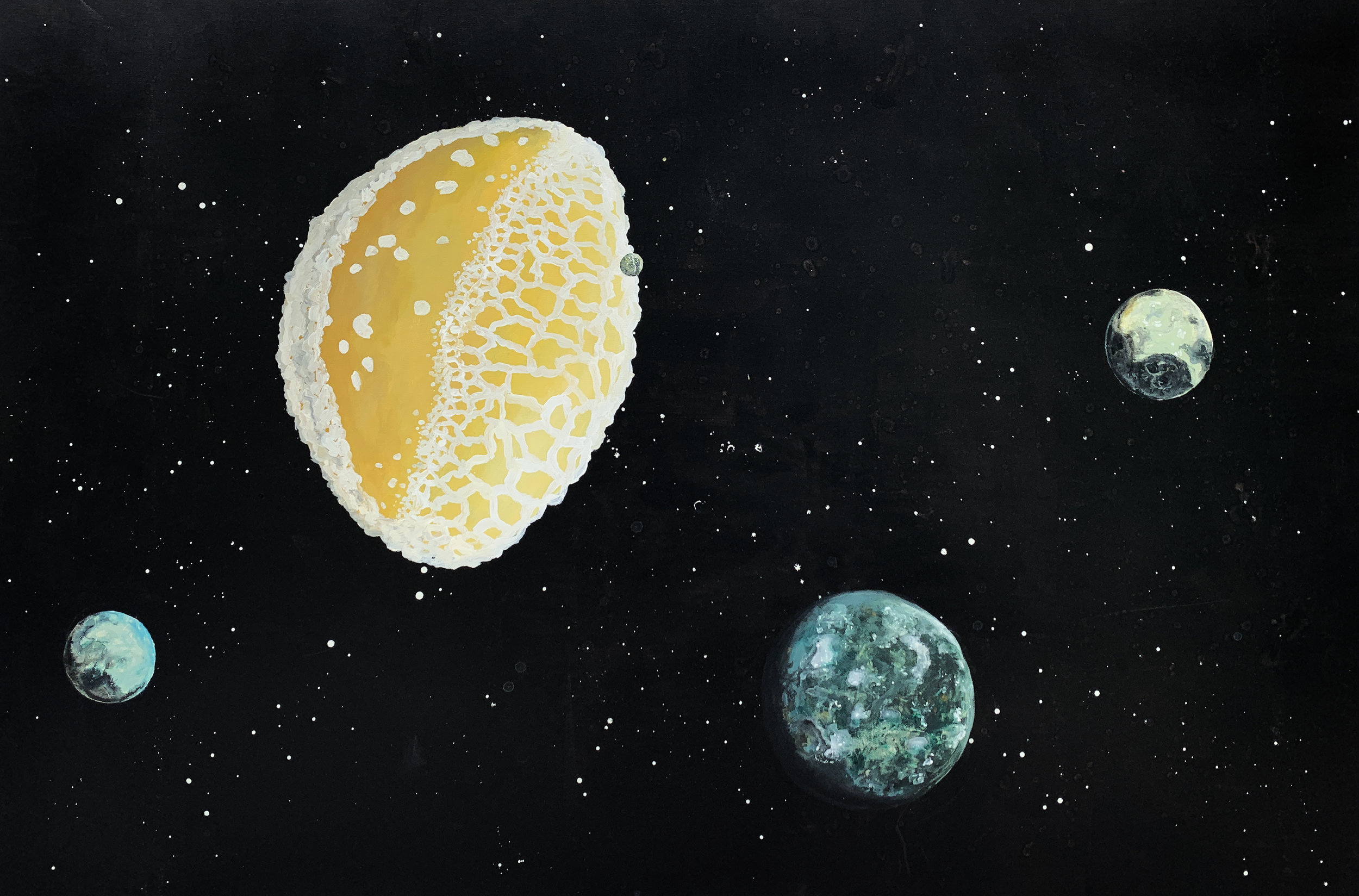 Pelod turške lilije (Lilium martagon)