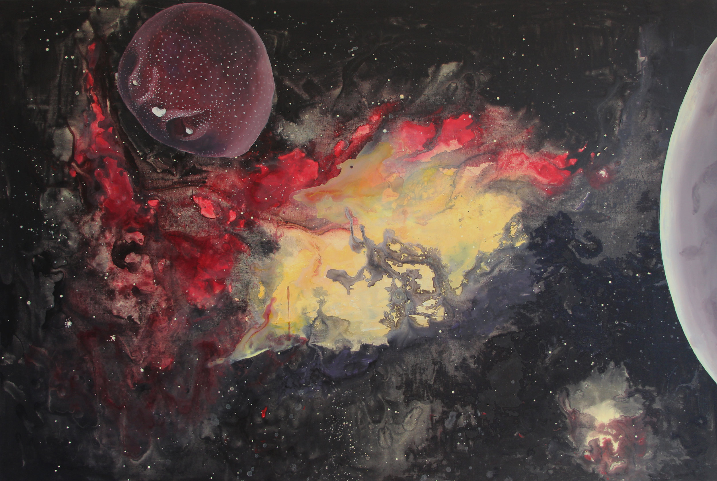 Pelod jelše (Alnus)