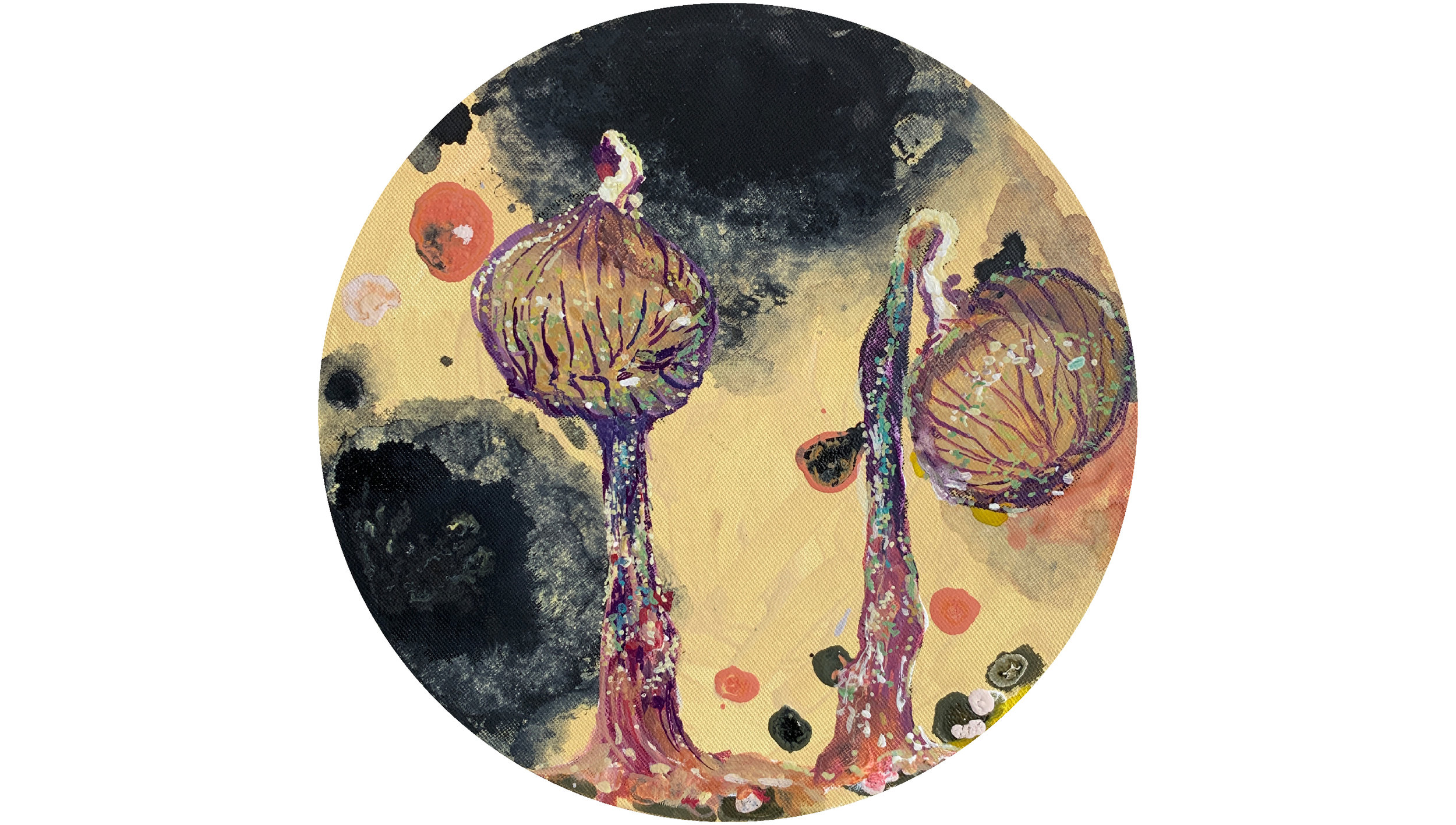 Cribraria cancellata/zemeljske bakterije