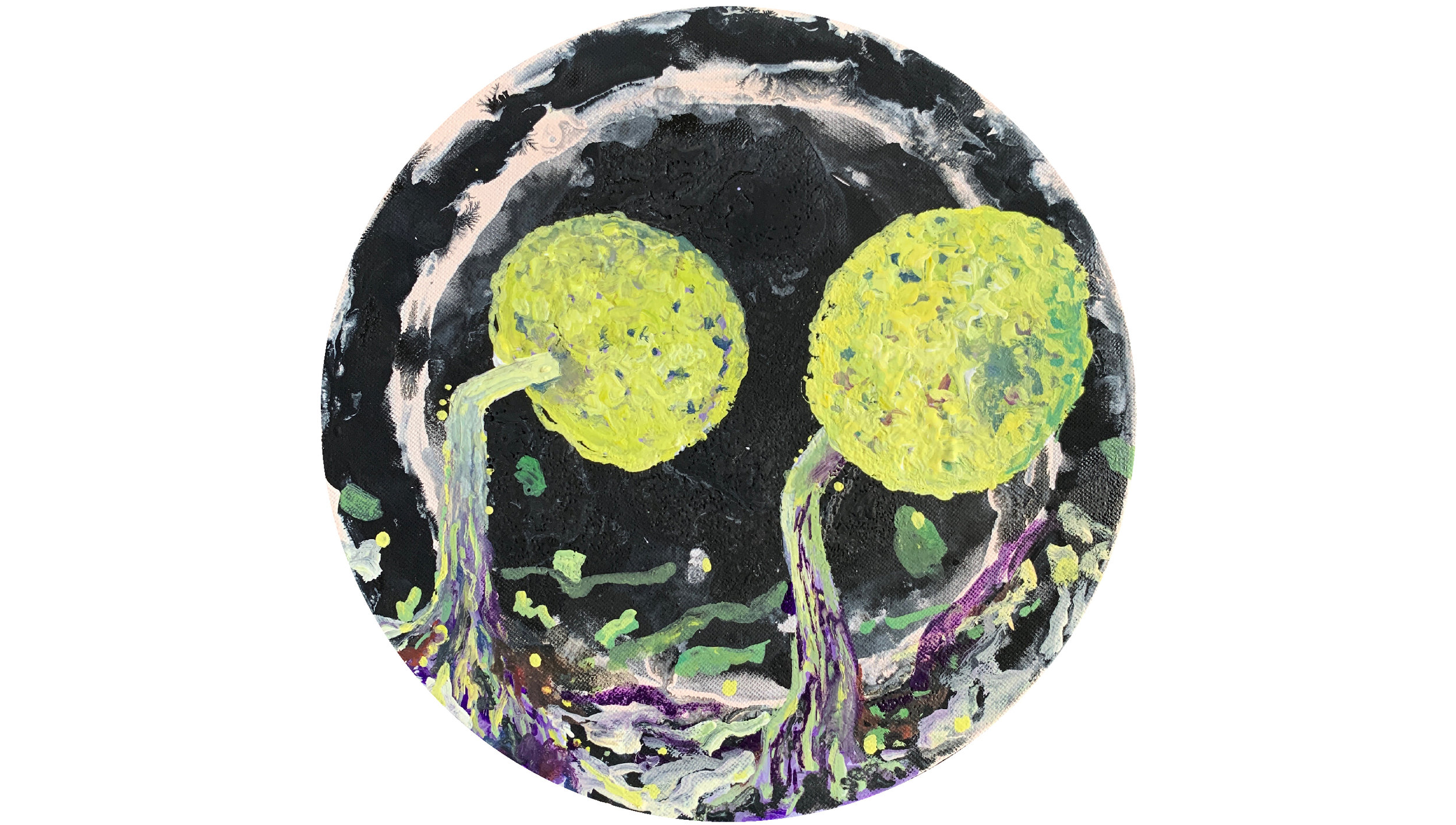 Physarum viride/mikroorganizmi v zemlji