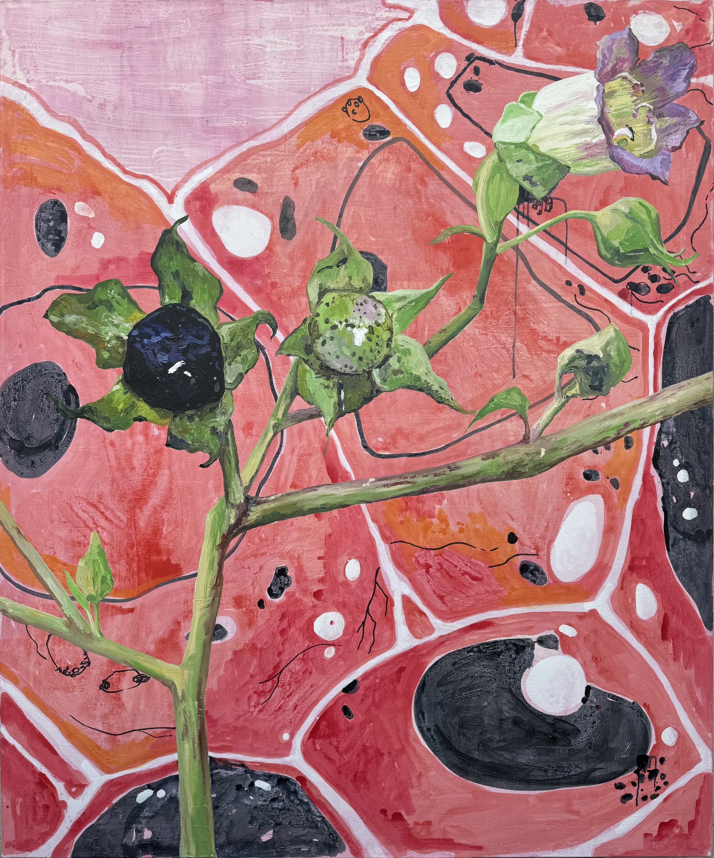 10. Belladonna, 2023, akril, platno, 150 × 180 cm.jpeg
