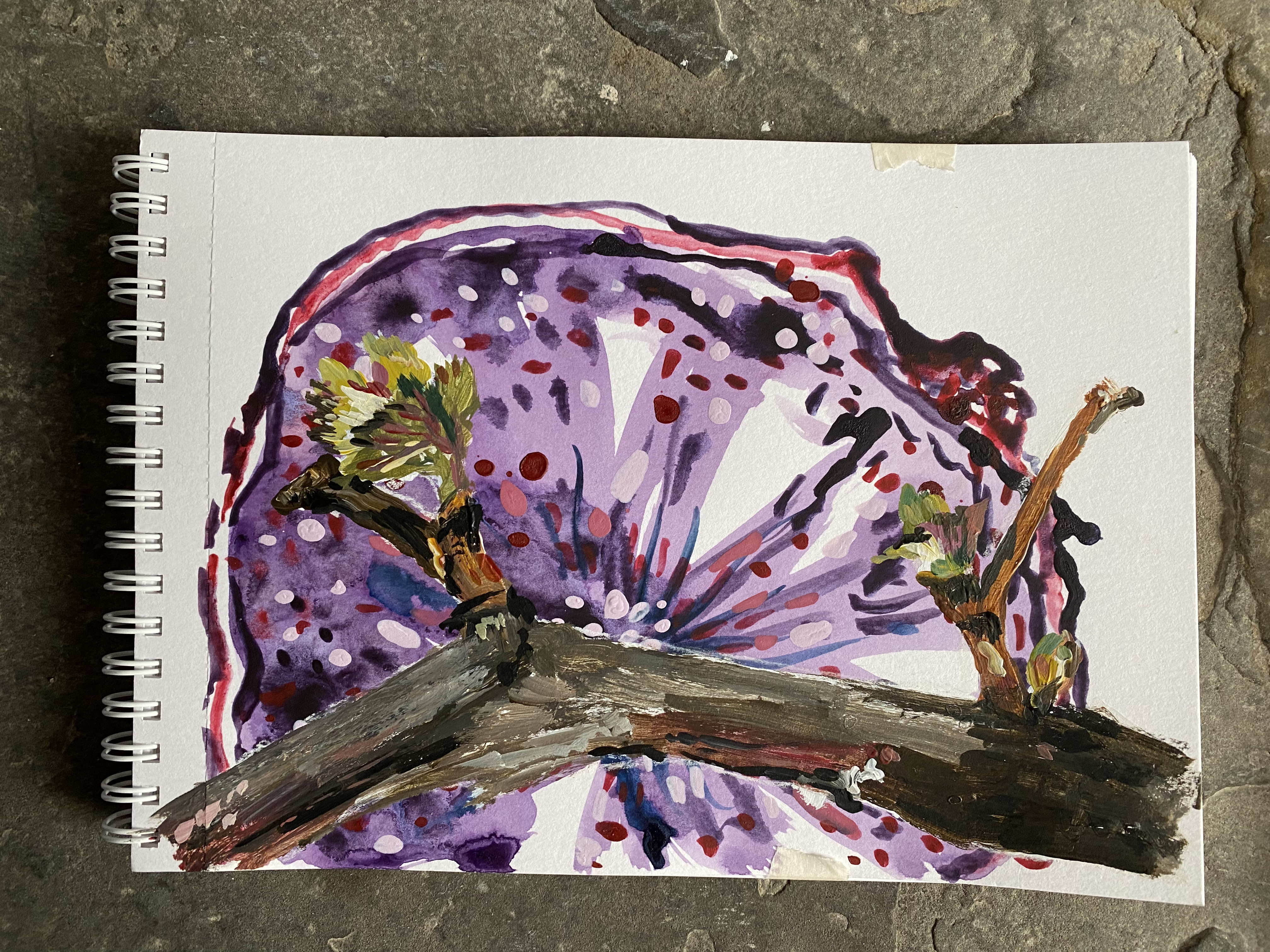 Vinska trta-skica, akril na papirju, 21 x 15 cm, 2022