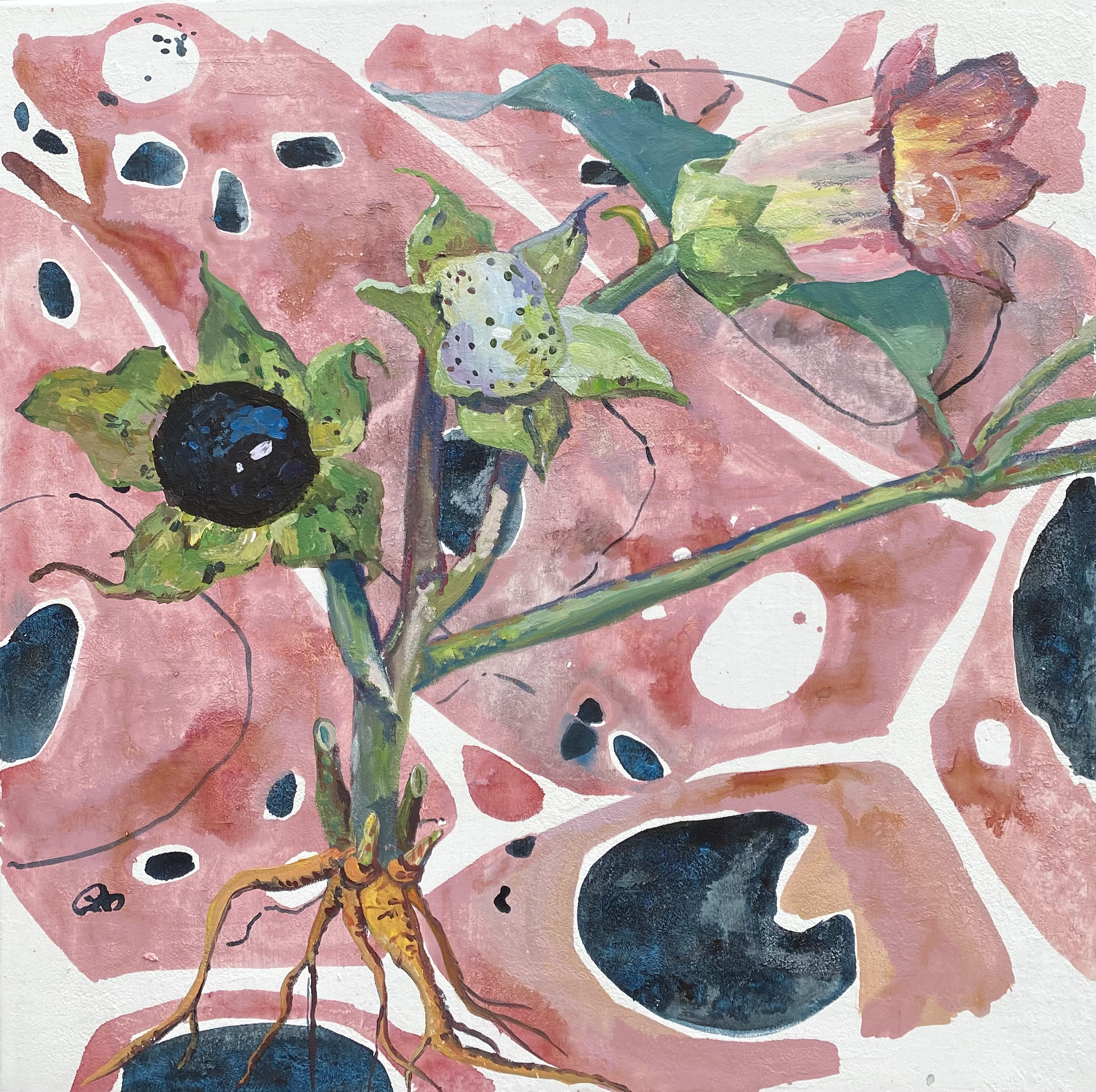 Belladonna, akril na platnu, 70 x 70 cm, 2022