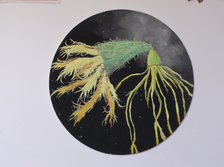 Xanthisma texanum-Galinsoga branchystephana/Phylum Cnidaria (2014)
gvaš na platnu, premer - 50 cm