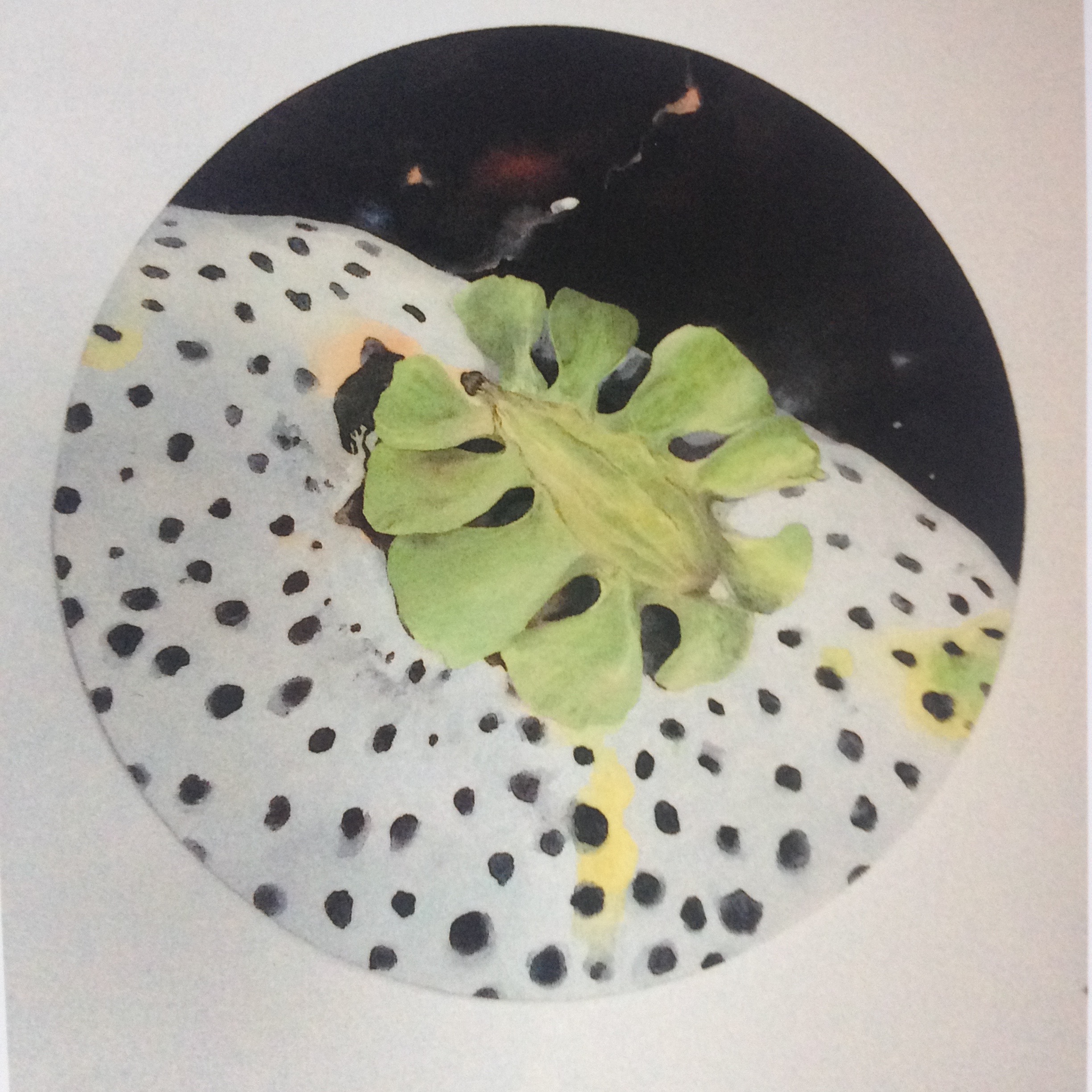 barvni svinčnik, 50 x 70 cm
Artedia squamata / Pseudobiceros flowersi (2015)
gvaš na platnu, premer 50 cm